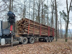 Palivové dřevo sypané, rovnané, tvrdé, měkké - 6
