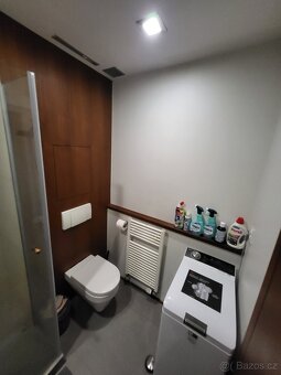 Pronajem bytu 1+kk 50m2 - 6