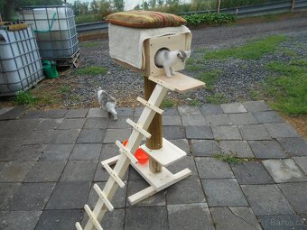 krmítka-stojany na misky pro pejsky a kočičky - 6