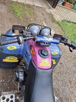 Yamaha Warrior 350 - 6