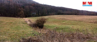 Prodej louky, 8010 m², Třebušín - 6