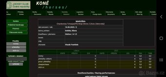 Dvouletá klisnička - 6