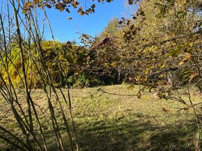 Prodám st. parcelu 2012 m2 ve Vydří u JH - 6