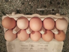 Domácí vajíčka z volného chovu - 6