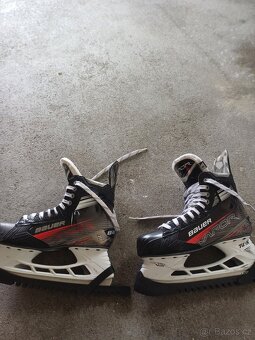 Prodam brusle Bauer Vapor X3 - 6