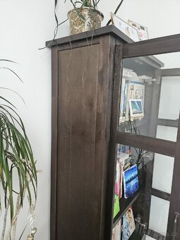 Knihovna - 6