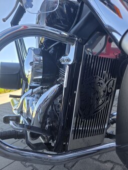 Honda VT 750 C Shadow 2007 - 6