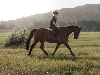 VALACH PARŤÁK PRO ŽIVOT A REKREACI - 6