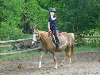 pony klisna - 6
