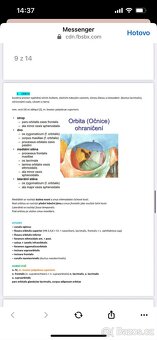 vypracované otázky ANATOMIE - 6