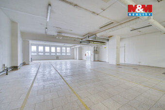 Pronájem obchod a služby, 100 m², Plzeň, ul. Skupova - 6