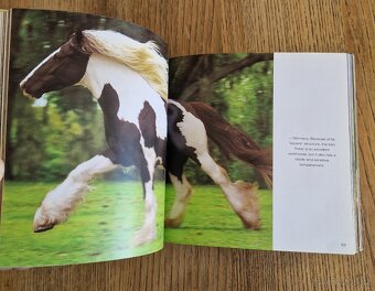 Horses (CubeBook, 2010) - 6