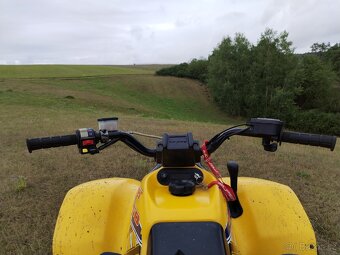 Polaris Trial Blazer 250 2t - 6