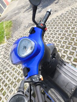 Yuki 50 bug - 6