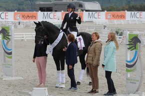 Připouštění drezurním plemenným hřebcem - 6