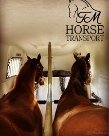 Přeprava koní - 6