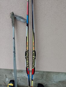Běžky SALOMON CLASSIC 10 ZEOLIT SKATE  201cm - 6