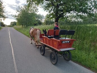Bryčka, vagoneta - 6