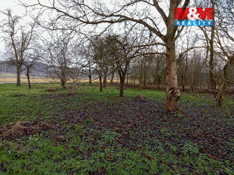 Prodej rodinného domu, 80 m², Kravaře, ul. Kravaře - 6