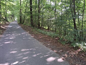 Exkluzivní prodej pozemku v Zubří - 6