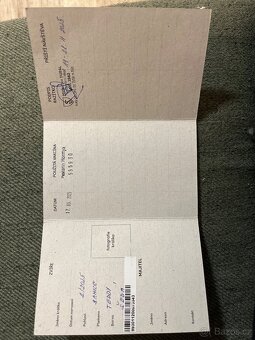 Březí samička SPĚCHÁ - 6