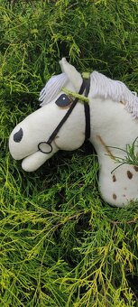 Hobby horse - 6