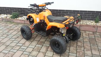 BUFFLER XW - 6