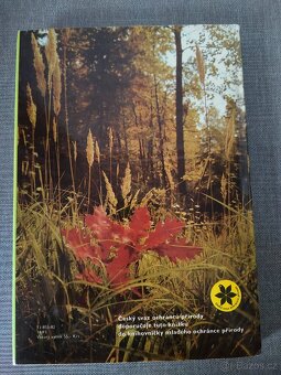 Dětská kniha- O rezaté veverce –JAKO NOVÉ - 6