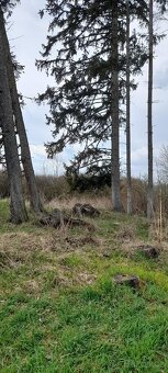 Pozemek - ostatní se stromy -1128 m² - 6