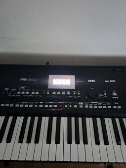 Vyměním korg pa 300 - 6