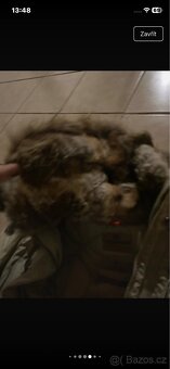 Kabát PARAJUMPERS - 6