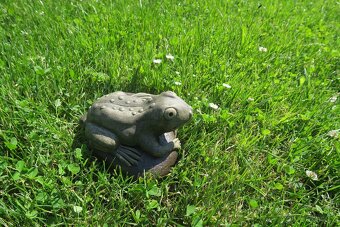 Zahradní dekorace - žába k jezírku, žabka, žába střední - 6