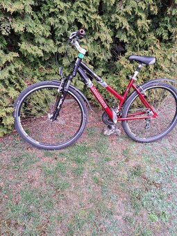 Dámské kolo MAXBIKE 65 TB - 6