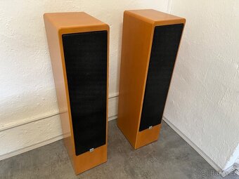 Canton Ergo RC-L - 6