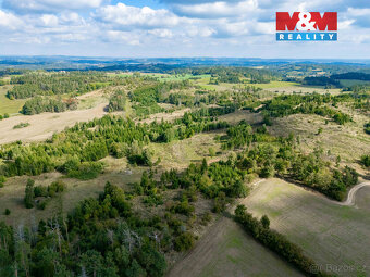 Prodej lesa v Horních Heřmanicích - 6