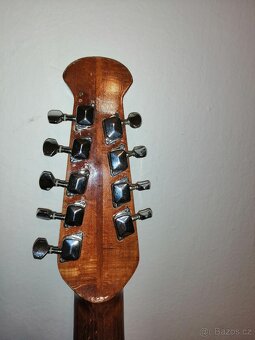 Devíti strunná kytara - 6