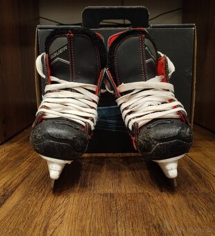 Brusle Bauer Score - 6