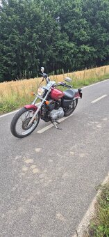 Harley Davidson 883 Sportster 2005 - 6