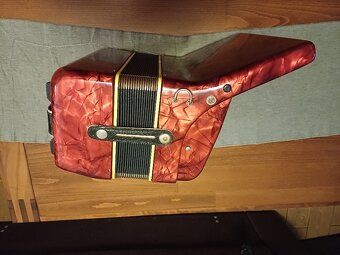 Akordeon Delicia Junior - 6