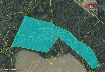 Prodej lesa, 78705 m², Horní Studénky - 6