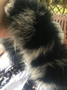 Lyžařská bunda Sportalm - 6