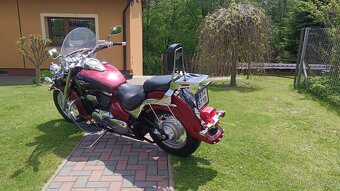 Suzuki VL 800 - 6