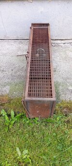 Sklopec, past na kuny a hlodavce - 6