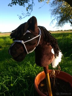 Hobby horse - 6