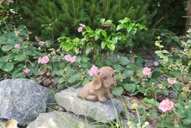 Zahradní dekorace - pes, pejsek, umělý kámen - 6