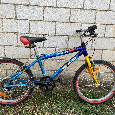Ravo Panter 20" - 6
