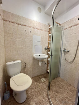 Pronájem bytu 1+kk, Krakovská, Hrabůvka, 6900 Kč/měs, 19 m2 - 6