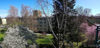 Být 1+1 Ostrava-Poruba 37 m², bez provize RK - 6