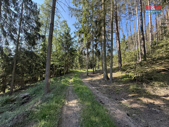 Prodej lesa, 23184 m², Milešov - 6