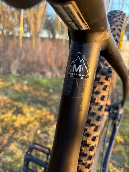 Specialized Levo HT - 6